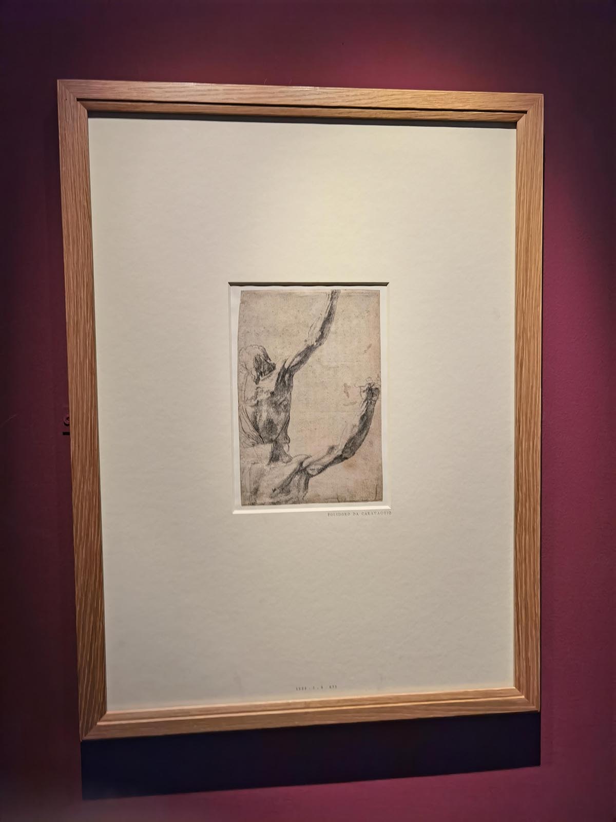 images/art/2021-11-21 意大利文艺复兴纸上绘画/46.jpg